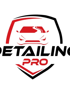 FERAL Gąbka Do Mycia Double Sided Detailing Pro