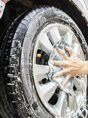 FERAL Mikrofibry 30X30 45St Detailing Pro