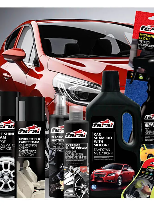 Produkt FERAL Zestaw Do Polerowania Set 10 Szt. Zdjęcie